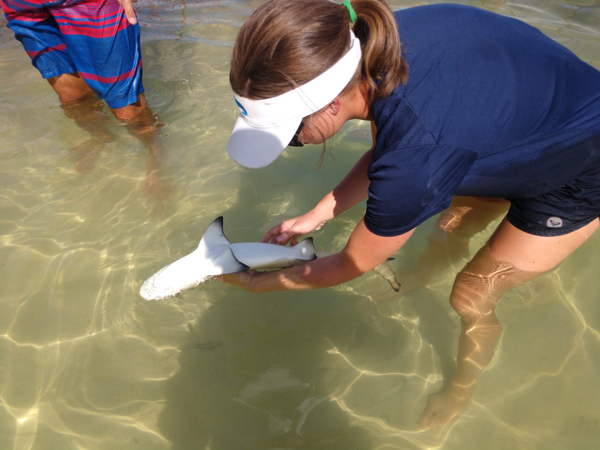 student holding a small shark