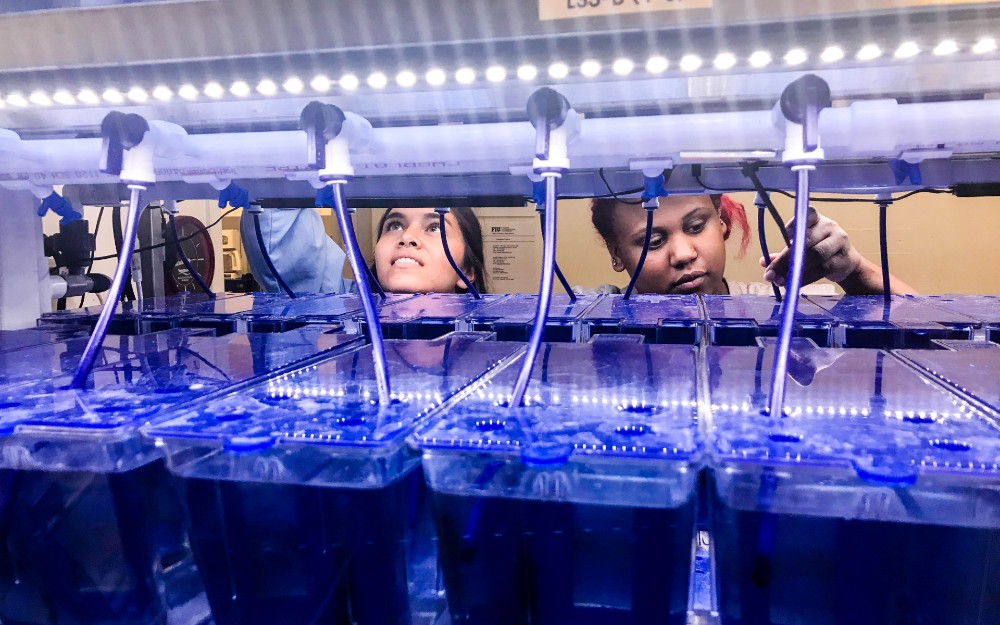 students working with a tank with fish