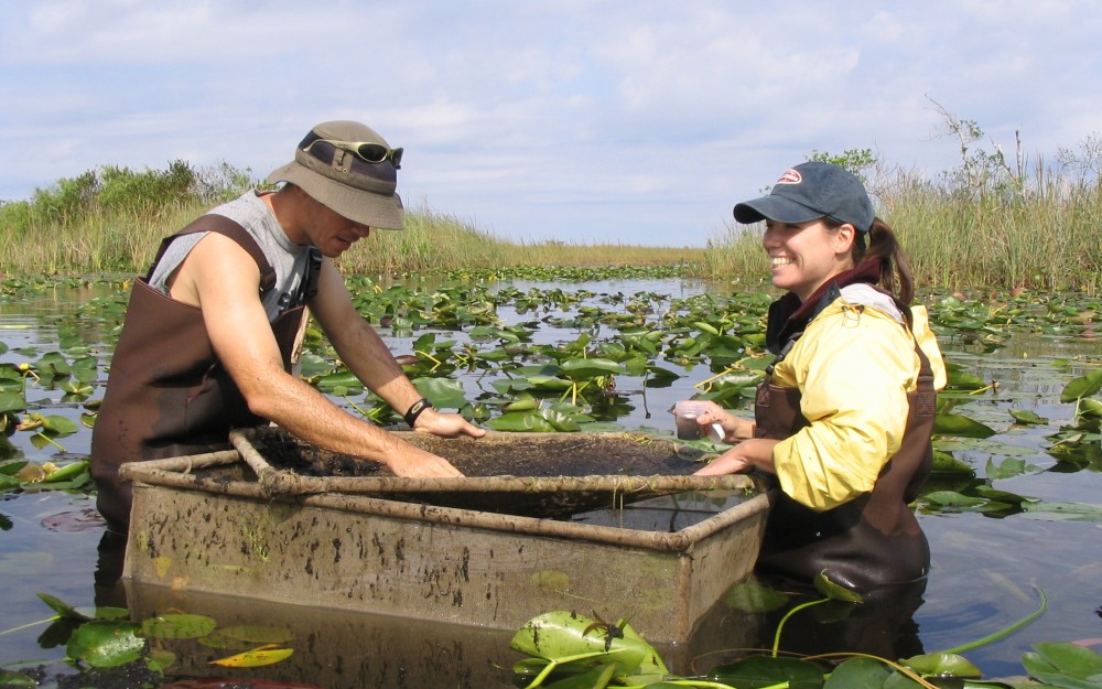 graduate students doing research on the field