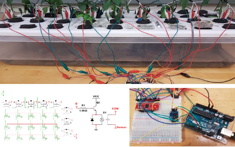 IoT sensor network